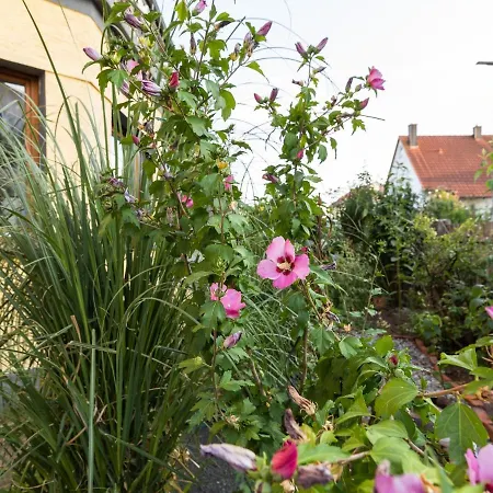 Appartement Pretty Holiday In Near River And City Centre